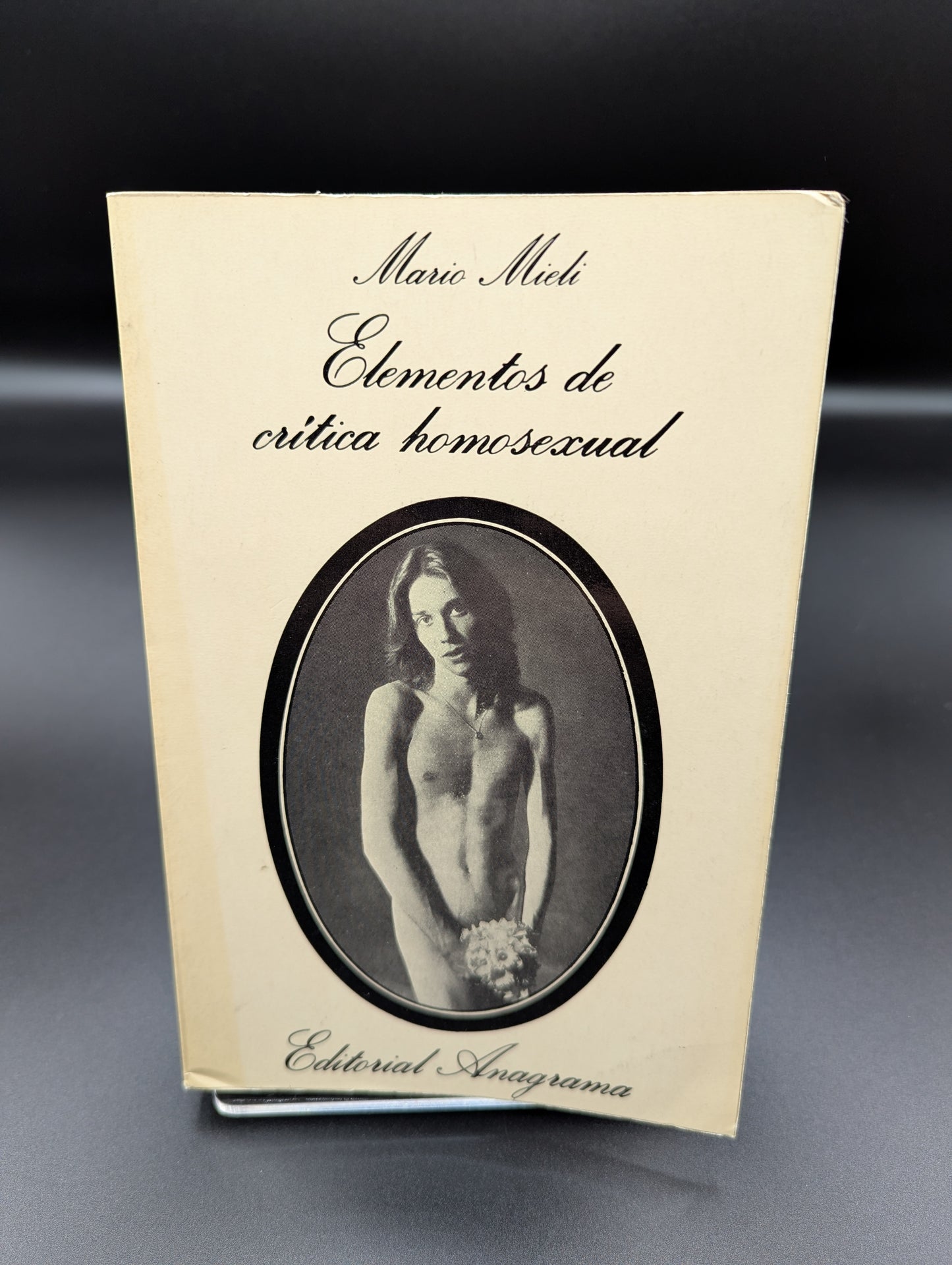 Elementos de critica homosexual