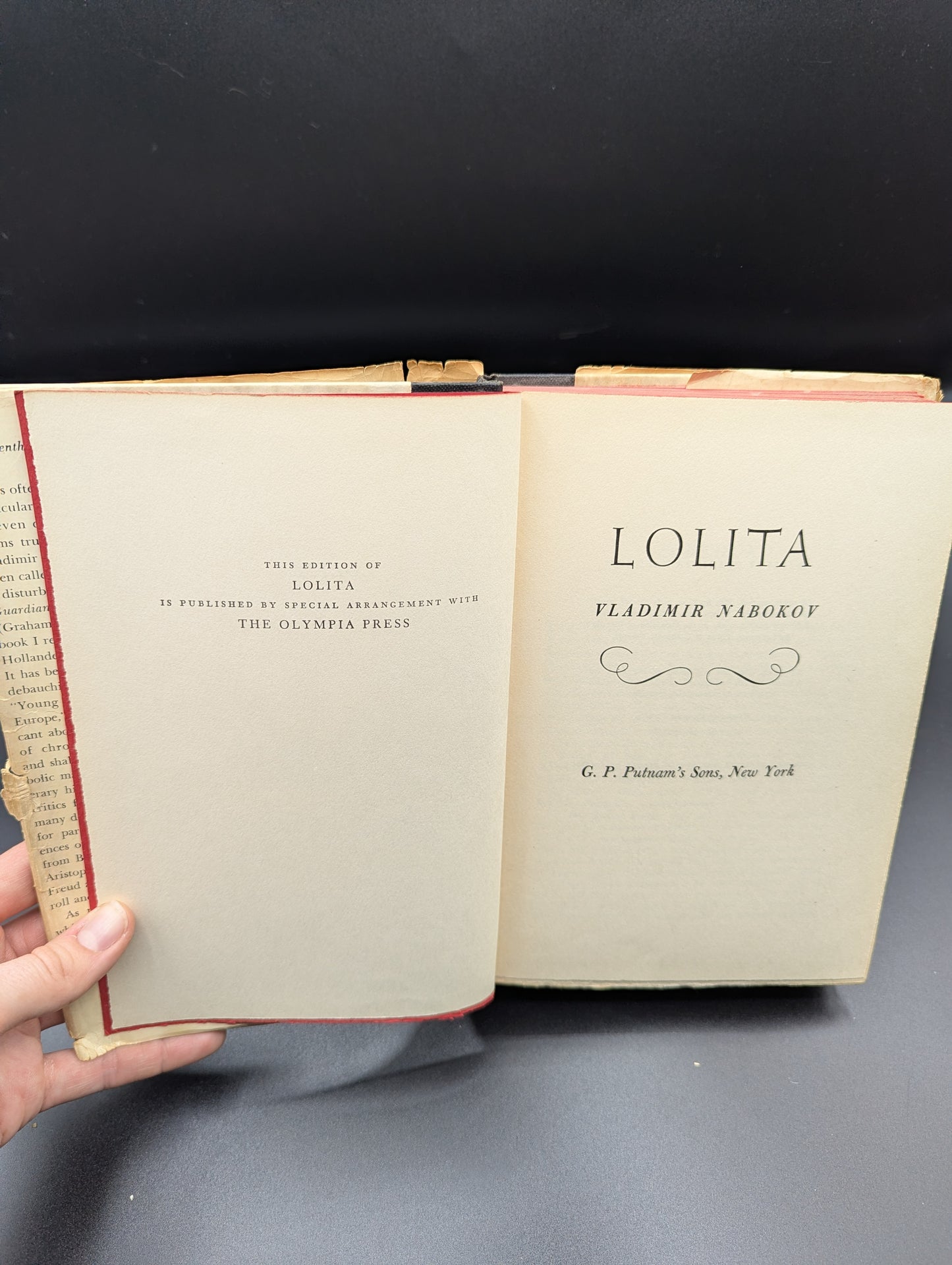 Lolita