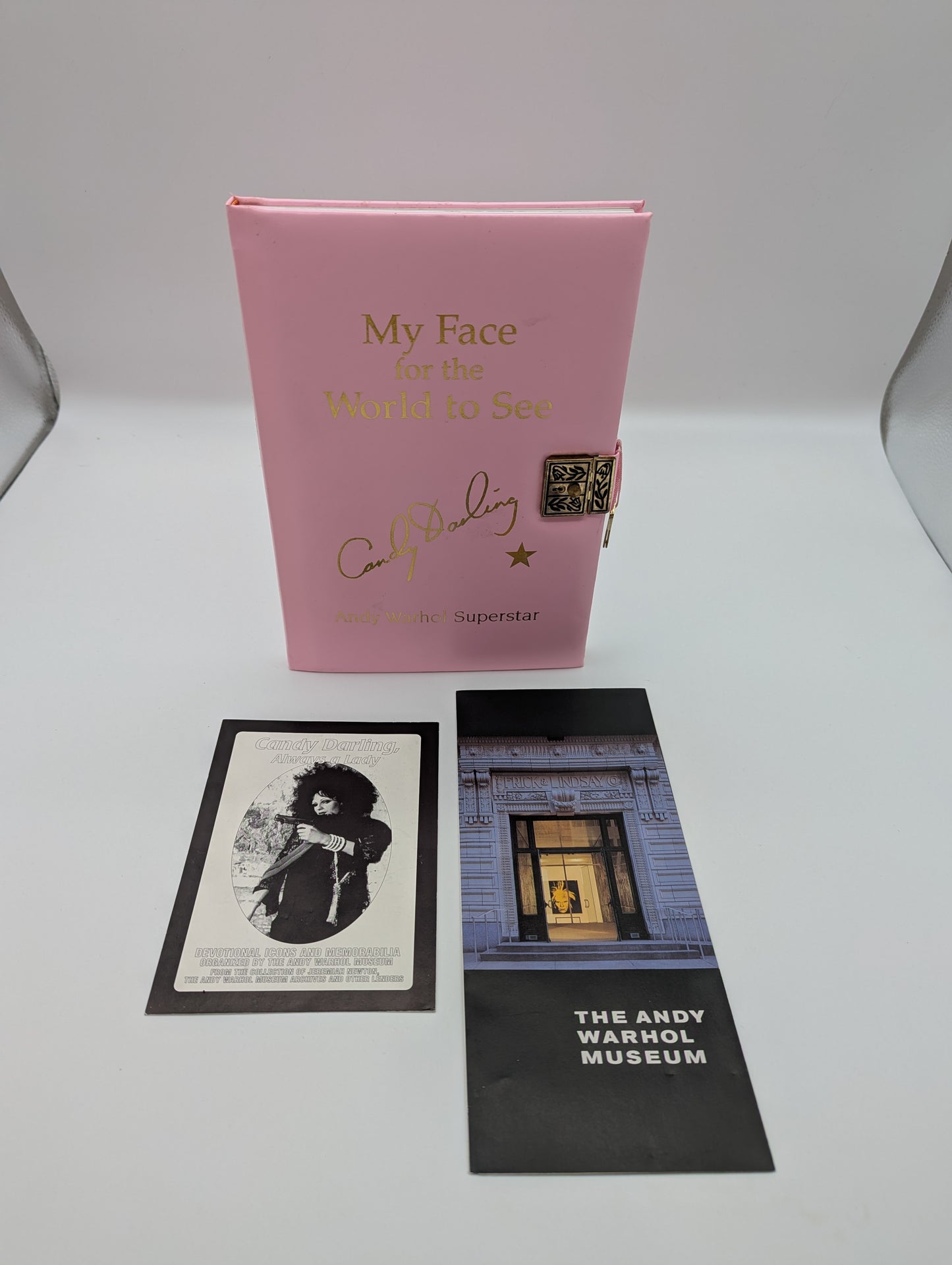 My Face for the World to See: The Diaries, Letters, and Drawings of Candy Darling, Andy Warhol Superstar