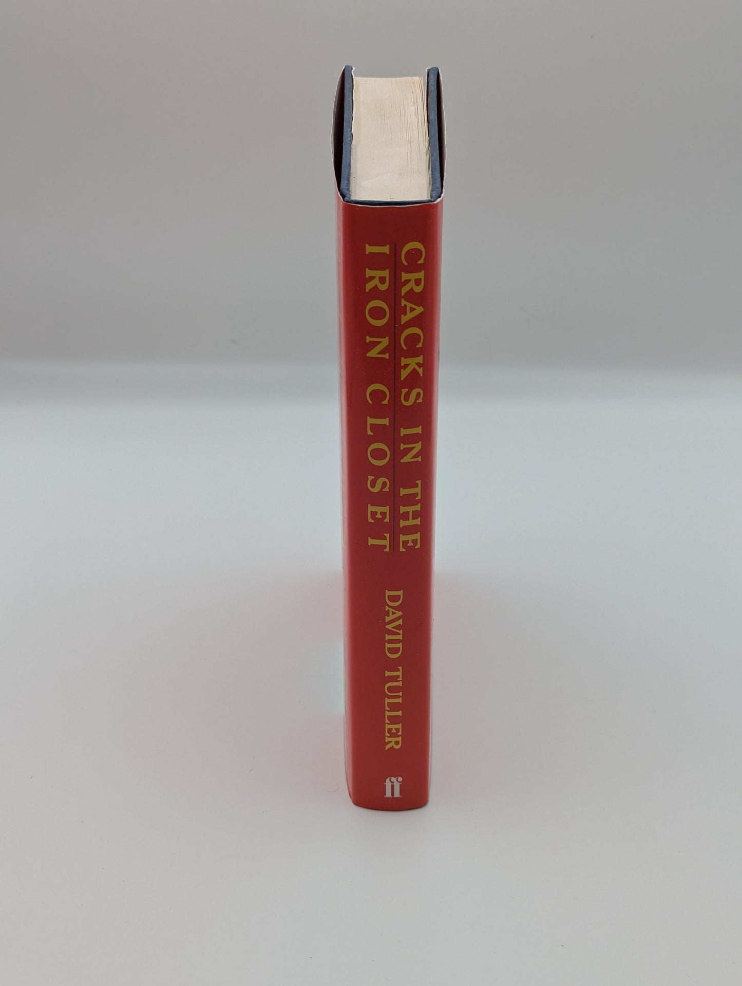 Cracks in the Iron Closet: Travels in Gay & Lesbian Russia