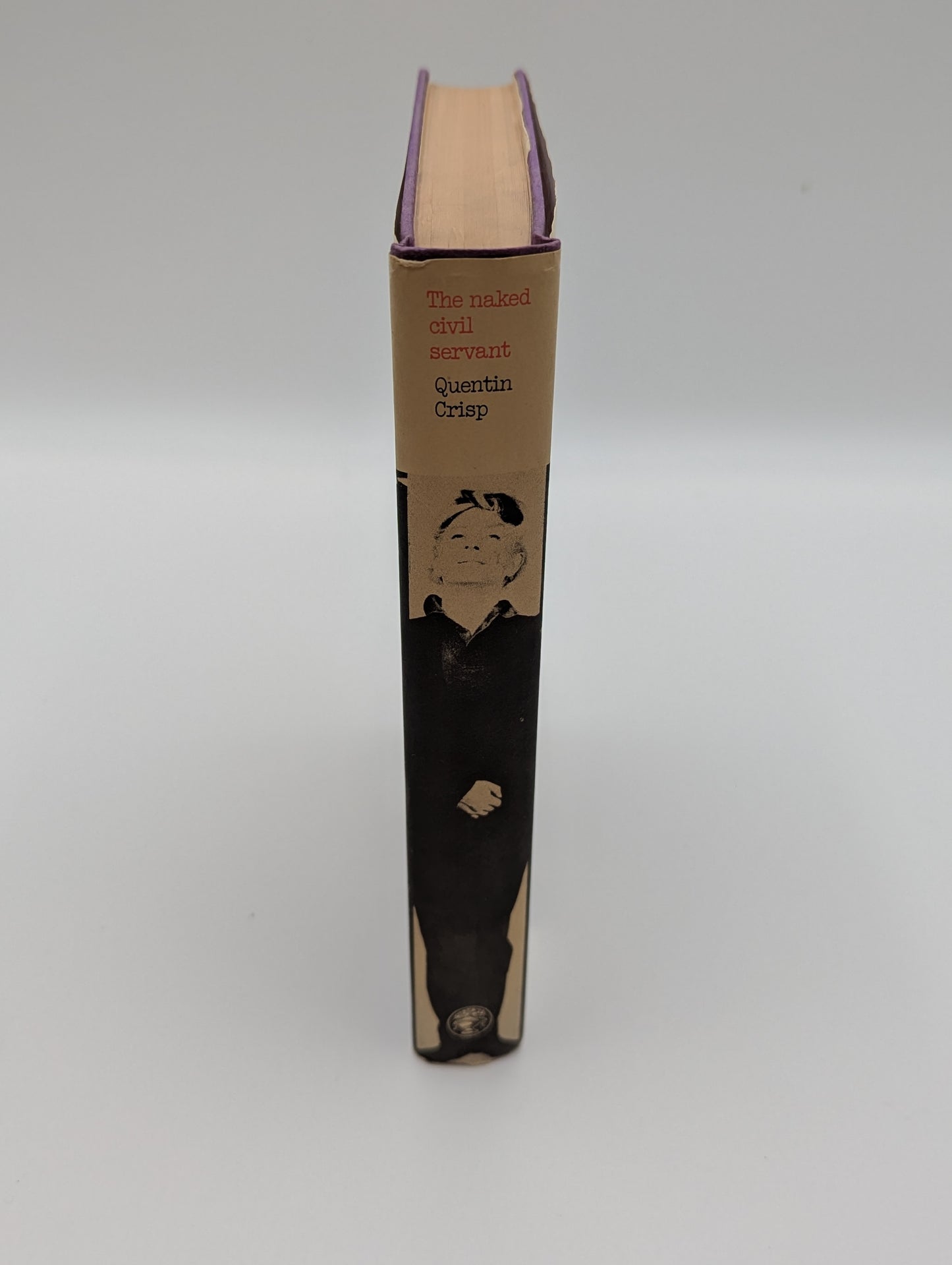 The Naked Civil Servant
