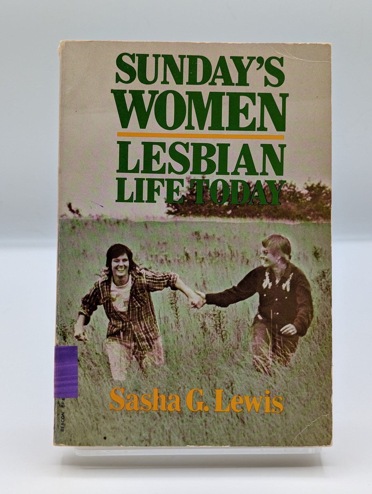 Sunday's Women : Lesbian Life Today