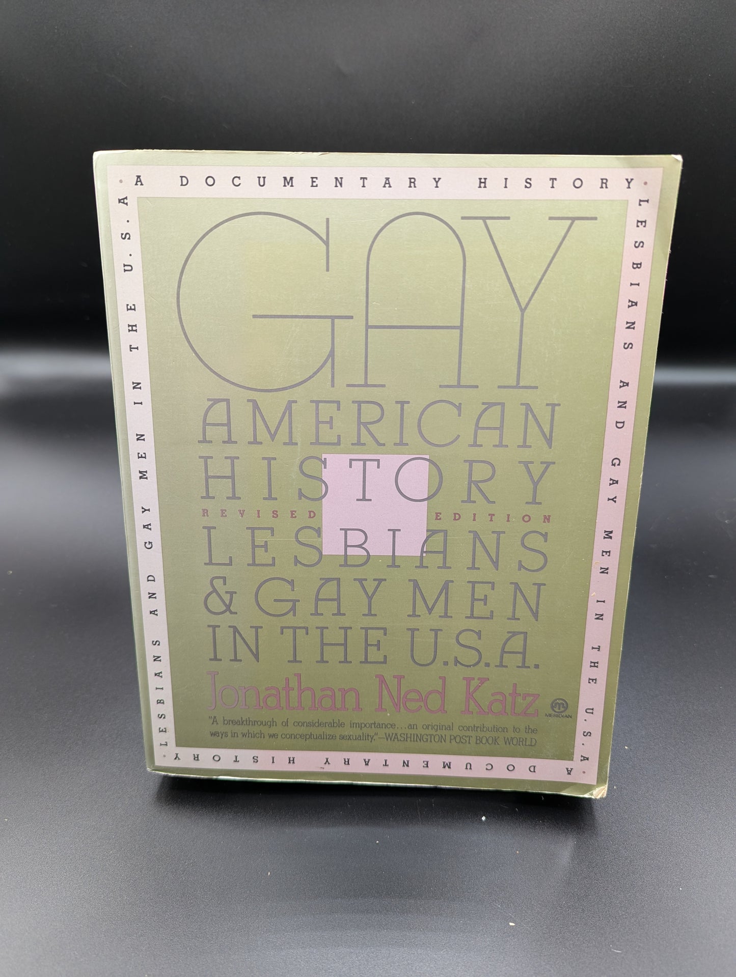 Gay American History : Lesbians and Gay Men in the USA
