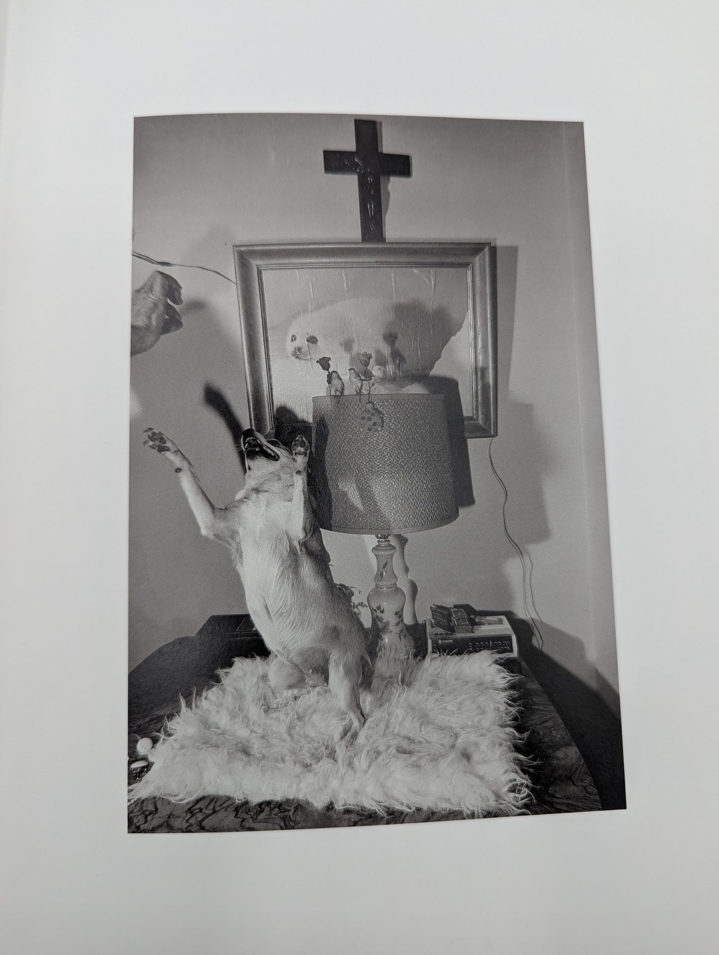 Donigan Cumming : Diverting the Image