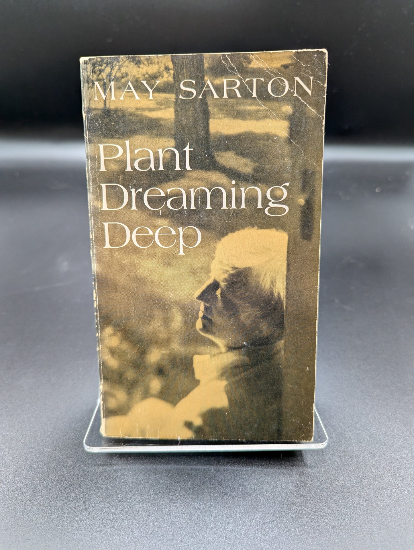 Plant Dreaming Deep