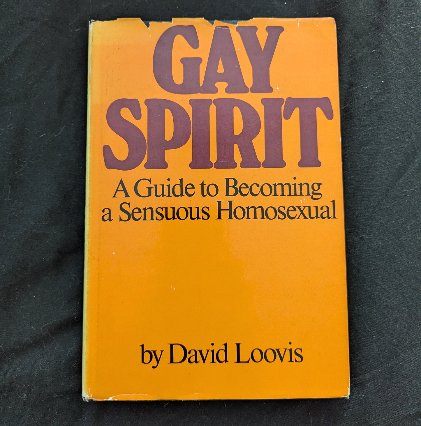 Gay Spirit: A Guide to Becoming a Sensuous Homosexual