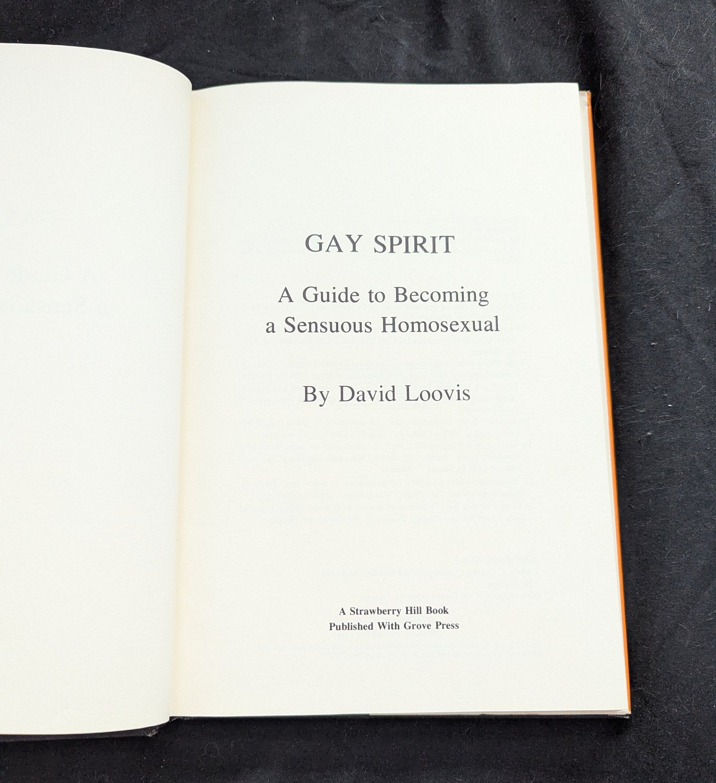 Gay Spirit: A Guide to Becoming a Sensuous Homosexual