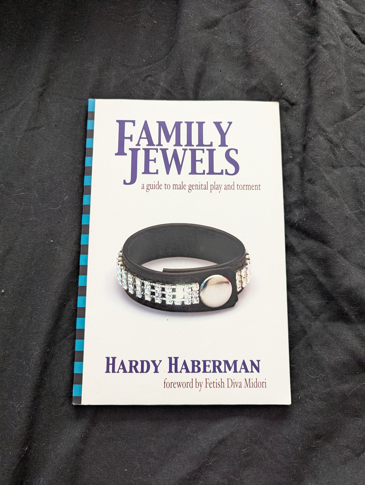 Family Jewels : a guide to male genital play and torment