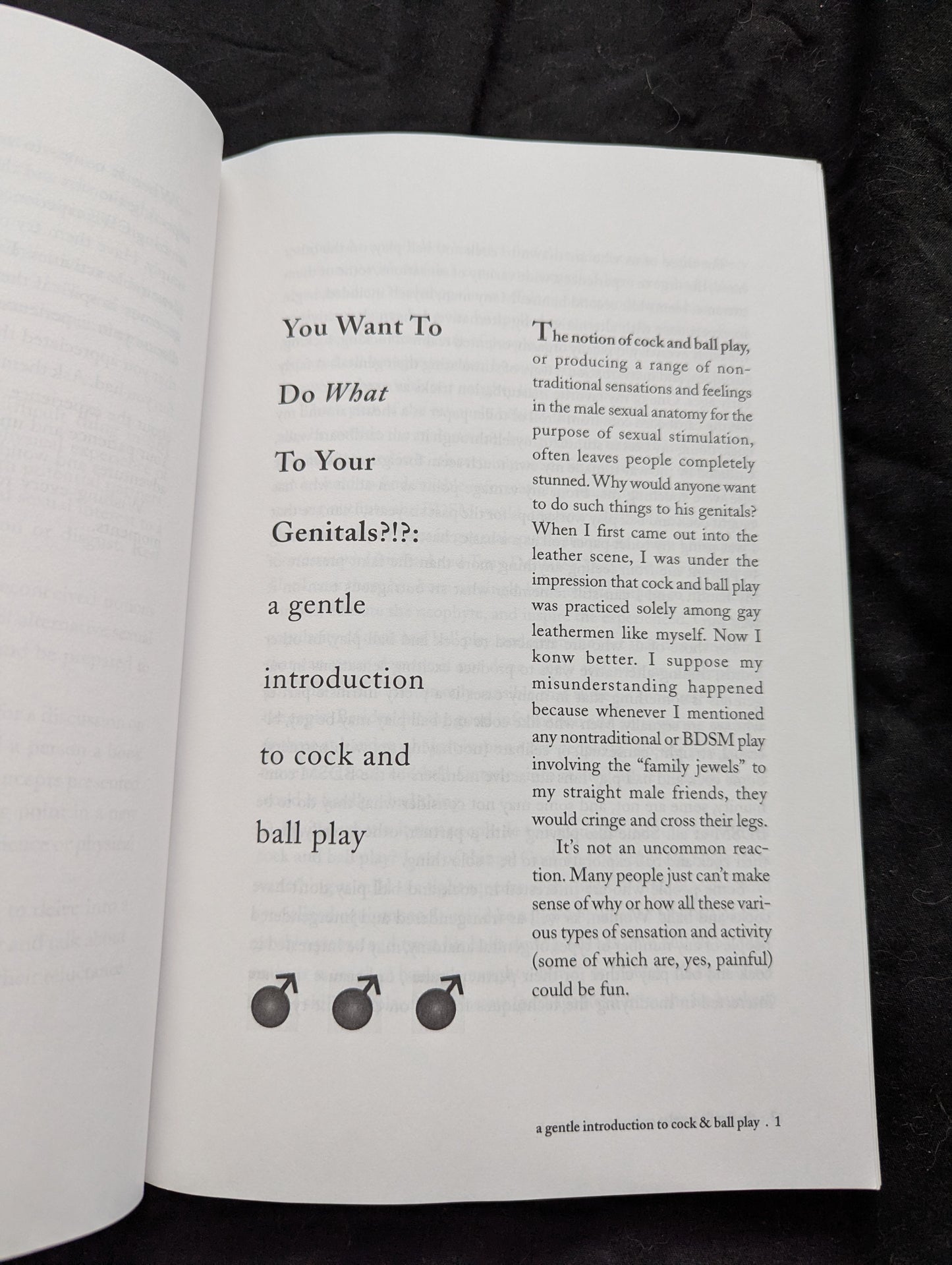 Family Jewels : a guide to male genital play and torment