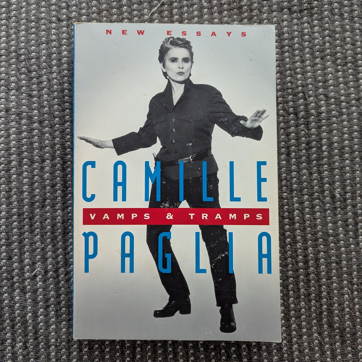 Vamps & Tramps: New Essays
